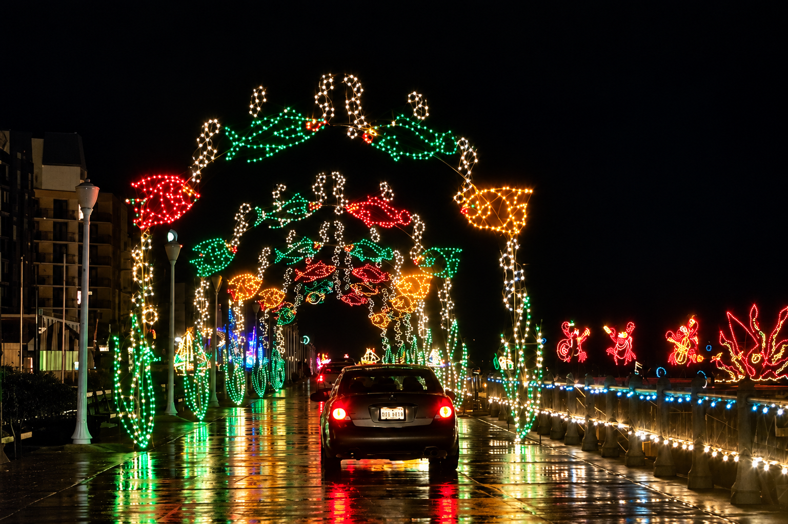 Christmas lights at the Boardwalk