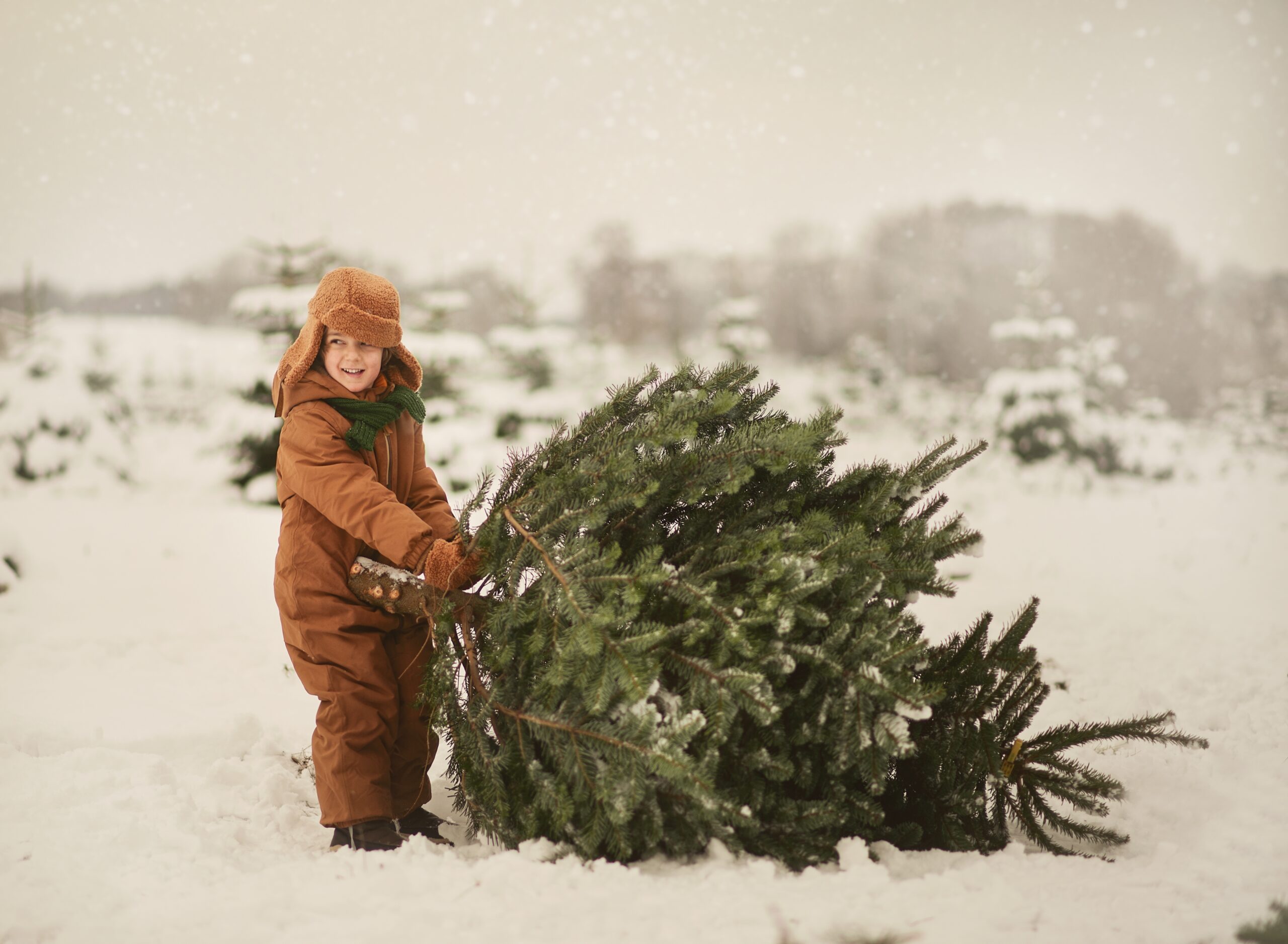 Welcome to Buchheit’s Christmas Unwrapped